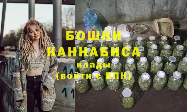гидра Костерёво