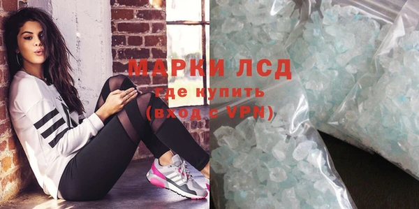 стаф Карпинск