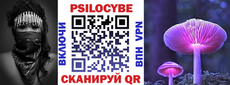 Галлюциногенные грибы MAGIC MUSHROOMS  площадка наркотические препараты  Красавино  магазин   